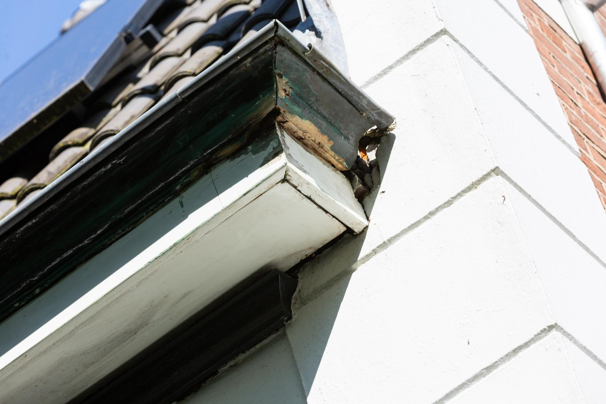 GG schilderwerk foto 73